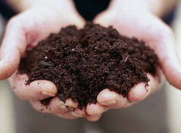 microwave dried soil- cellencor